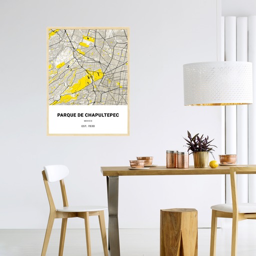 Parque de Chapultepec Poster - Street Map 3