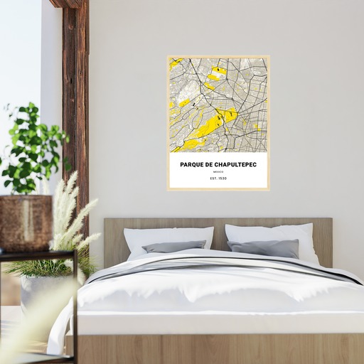 Parque de Chapultepec Poster - Street Map 5