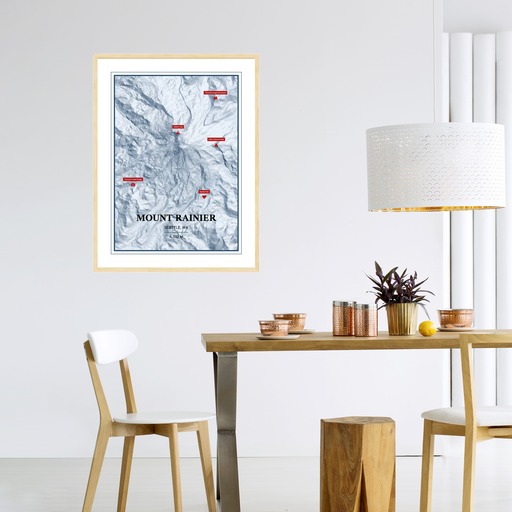 Trip To Mount Rainier Poster - Terrain Map 3