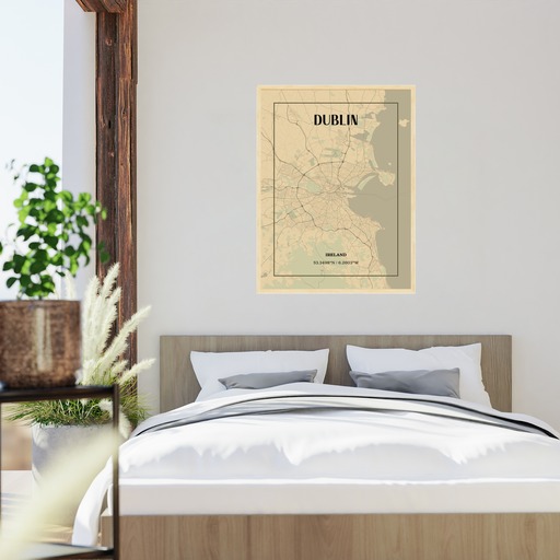 Dublin in Vintage Poster - Street Map 6