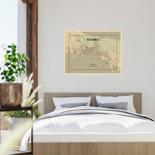 Istanbul in Vintage Poster - Street Map 6