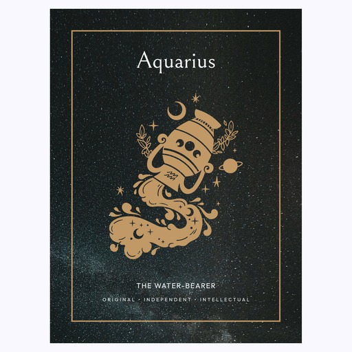 Aquarius in Block Print - Custom Zodiac Sign Poster 6