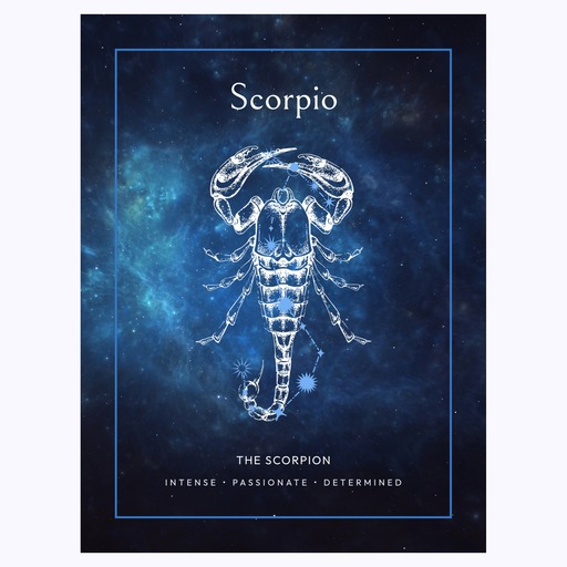 Scorpio in Embellished Outline Print - Custom Zodiac Sign Poster 6