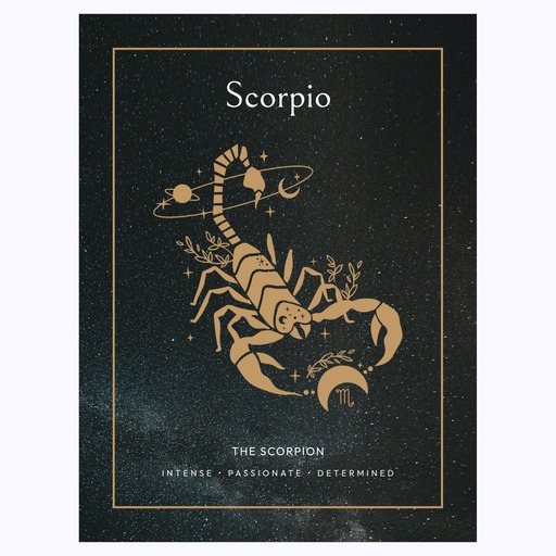 Scorpio in Block Print - Custom Zodiac Sign Poster 6