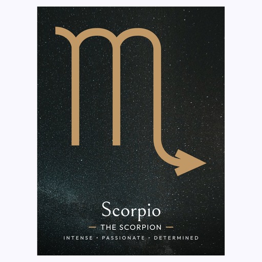 Scorpio in Simple Sharp Print - Custom Zodiac Sign Poster 6