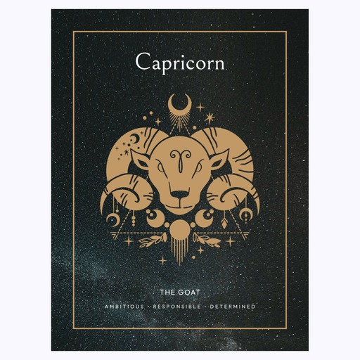 Capricorn in Block Print - Custom Zodiac Sign Poster 6