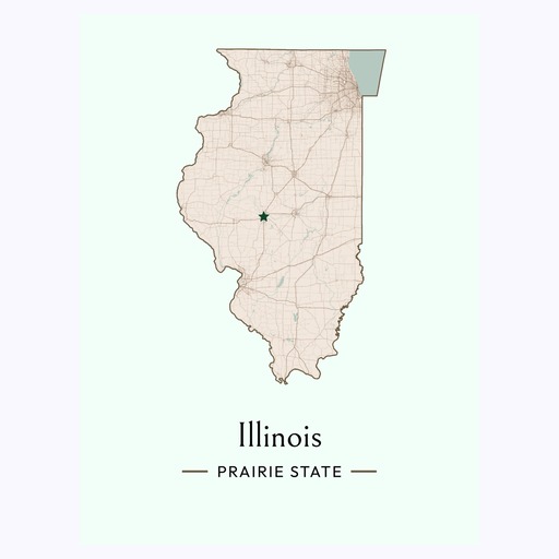 Illinois State Poster - Boundary Map 6