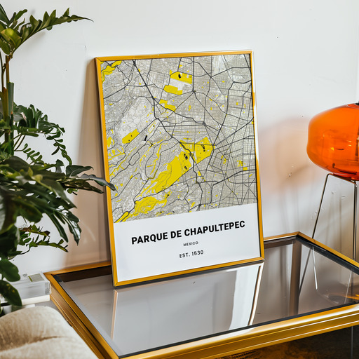 Parque de Chapultepec Poster - Street Map 11