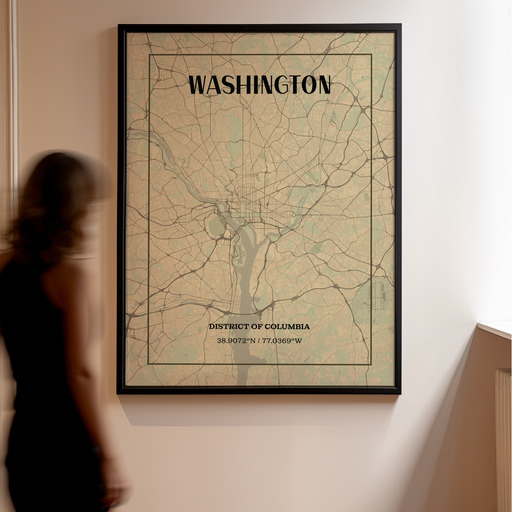 Washington D.C. in Vintage Poster - Street Map 11
