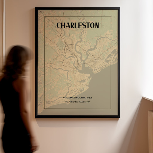 Charleston in Vintage Poster - Street Map 11