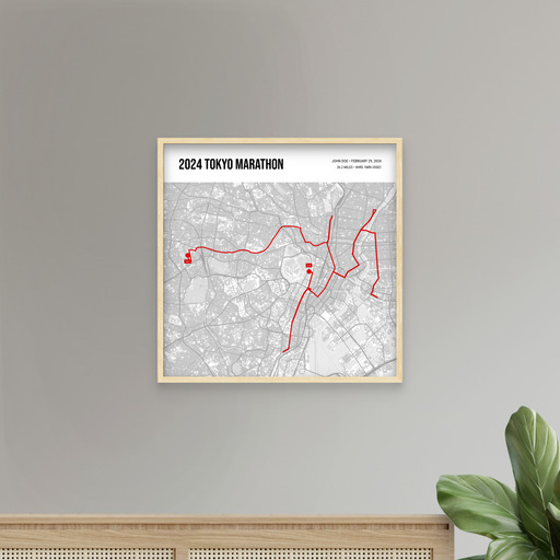 2024 Tokyo Marathon Poster - Route Map 11