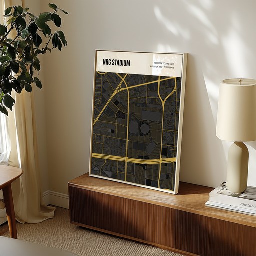 Houston Texans Stadium Poster - Street Map 11