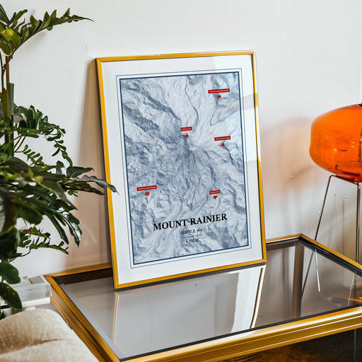 Trip To Mount Rainier Poster - Terrain Map 11