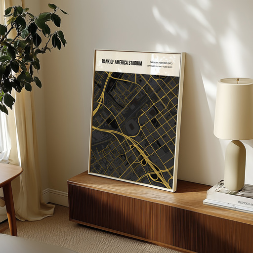 Carolina Panthers Stadium Poster - Street Map 11