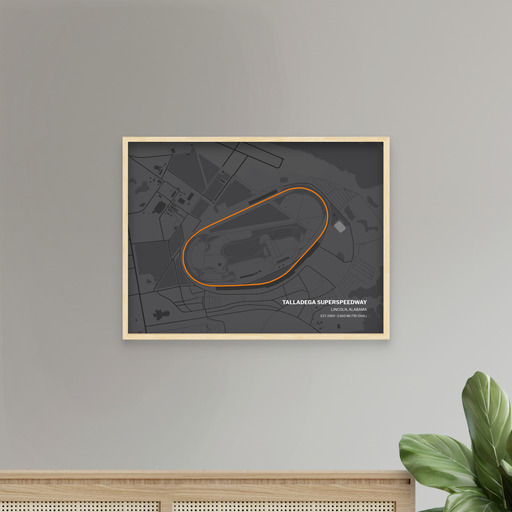 Talladega Superspeedway Poster - Track Map 8