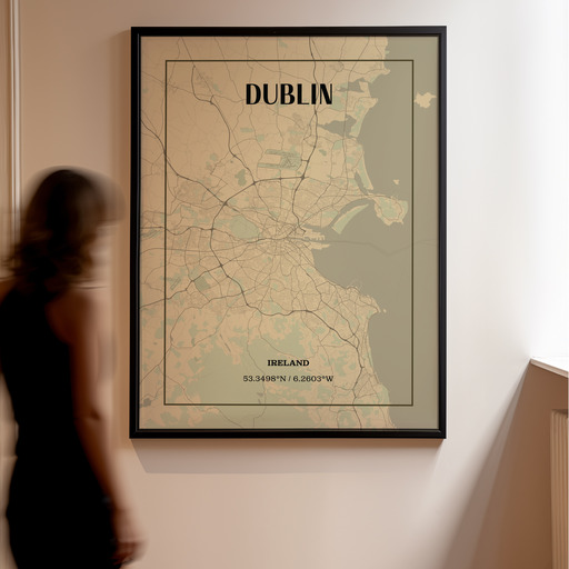 Dublin in Vintage Poster - Street Map 11