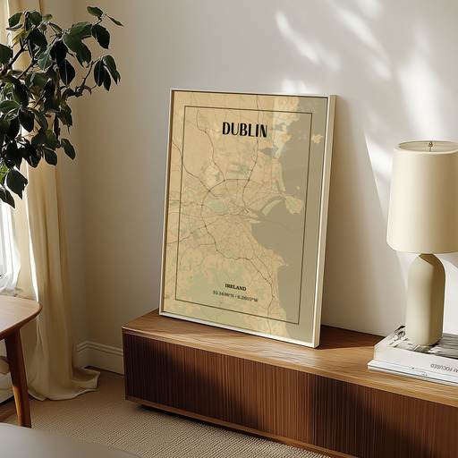 Dublin in Vintage Poster - Street Map 9