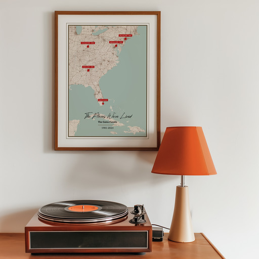 The Places We Lived In Poster - Street Map 10