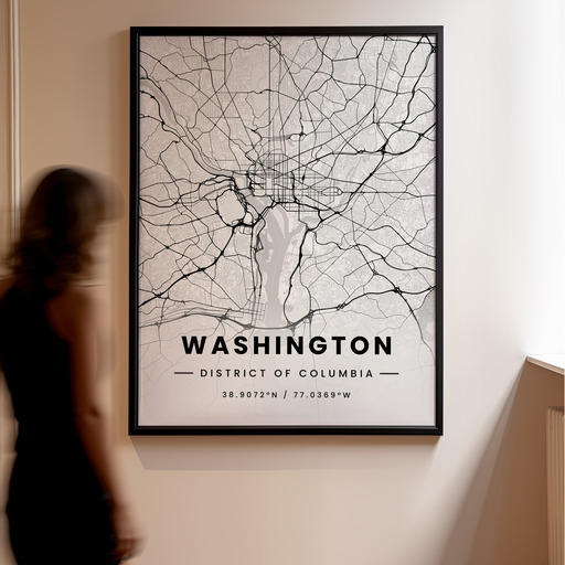 Washington D.C. in Light Poster - Street Map 10