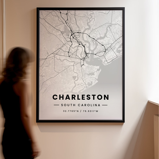 Charleston in Light Poster - Street Map 10