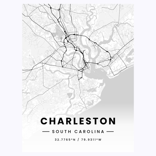 Charleston in Light Poster - Street Map 6