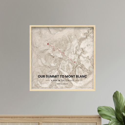 Our Summit to Mont Blanc Poster - Topographic Map 10
