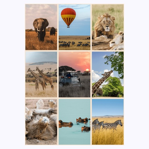African Safari Poster - Photo Collage Print 6