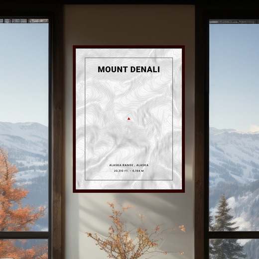 Mount Denali Poster - Topo Map 2