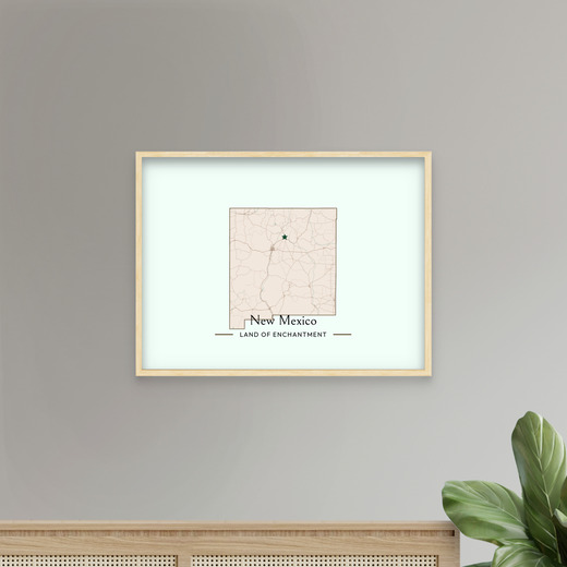 New Mexico State Poster - Boundary Map 7