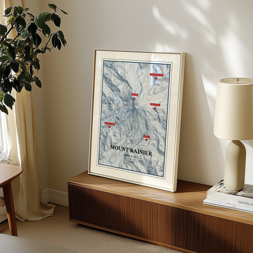 Trip To Mount Rainier Poster - Terrain Map 8